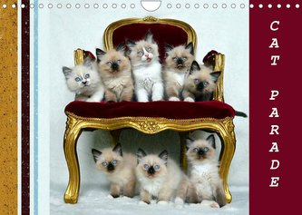 CAT PARADE (Wall Calendar 2023 DIN A4 Landscape)