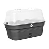 Minipařeniště Green Basics growpot tray all-in-1 32 cm - living black