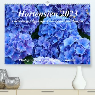 Hortensien 2023. Farbenprächtige Impressionen aus dem Garten (Premium, hochwertiger DIN A2 Wandkalender 2023, Kunstdruck in Hoch