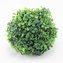 Zimostráz - umělý buxus, 0/200