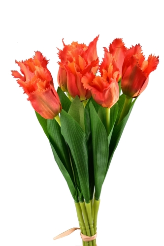 Kytice 9 střapatých tulipánů 39,5 cm, oranžová