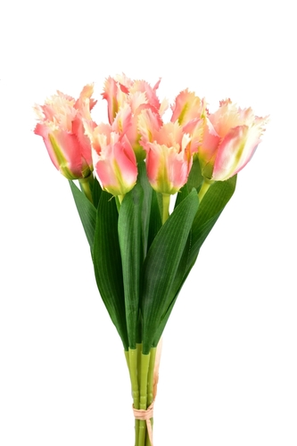 Kytice 9 střapatých tulipánů 39,5 cm, světle růžová
