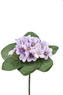 Kytička fialek 21,5 cm, fialová