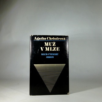 Muž v mlze