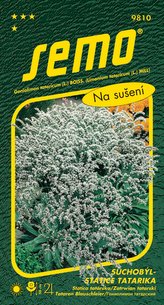 Suchobyľ tatársky - Statica tatarika biely 0,2g