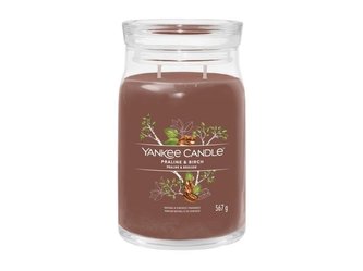 YANKEE CANDLE Praline & Birch svíčka 567g / 5 knotů (Signature velký)