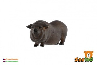 Prasa vietnamskej zooted plast 7cm v sáčku