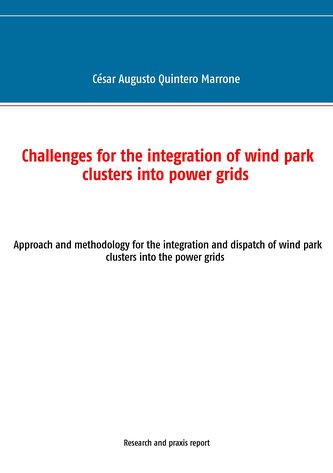 Challenges for the integration of wind park clusters into power grids