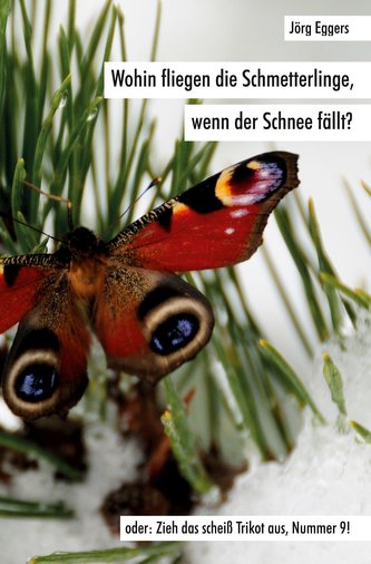 Wohin fliegen die Schmetterlinge, wenn der Schnee fällt?