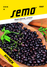 Fazuľa ker. na suché semená - Hynek 40g