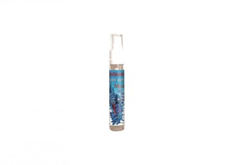 Dentamint ústní sprej 27 ml LONG FRESH EFFECT