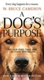 DOGS PURPOSE MTI