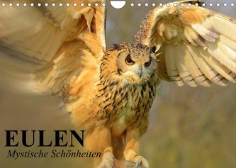 Eulen. Mystische Schönheiten (Wandkalender 2023 DIN A4 quer)