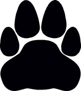 ARTEMISS Tlapka - plastová šablona 435 Rozměr: B 14,5x14,5cm