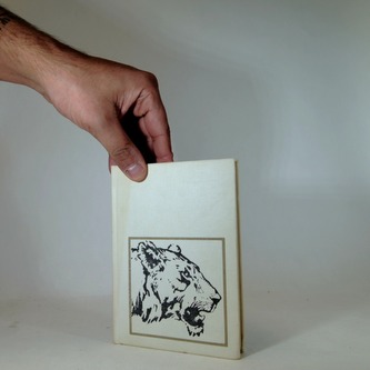 Zlaté stíny, pádící kopyta