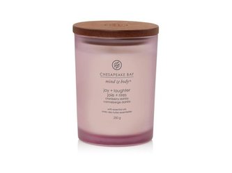 Chesapeake Bay Vonná svíčka tumbler střední Joy & Laughter 250 g unisex