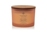 Chesapeake Bay Vonná svíčka se třemi knoty Love & Passion 312 g unisex