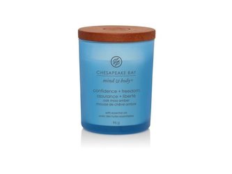 Chesapeake Bay Vonná svíčka tumbler malý Confidence & Freedom 96 g unisex