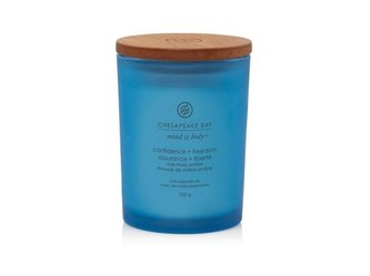 Chesapeake Bay Vonná svíčka tumbler střední Confidence & Freedom 250 g unisex