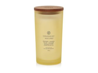 Chesapeake Bay Vonná svíčka tumbler velký Strength & Energy 355 g unisex