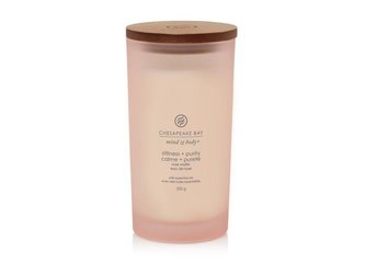 Chesapeake Bay Vonná svíčka tumbler velký Stillness & Purity 355 g unisex