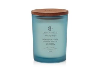 Chesapeake Bay Vonná svíčka tumbler střední Reflection & Clatiry 250 g unisex