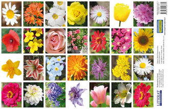 Naklejki Kwiaty