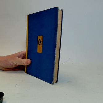 Tvrdá pěst Tuaregů