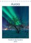 Aurora - Polarlicht des Nordens (Tischkalender 2023 DIN A5 hoch)