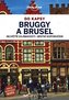 Brusel a Bruggy do kapsy - Lonely Planet