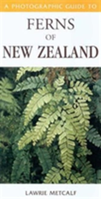 Photographic Guide To Ferns Of New Zealand