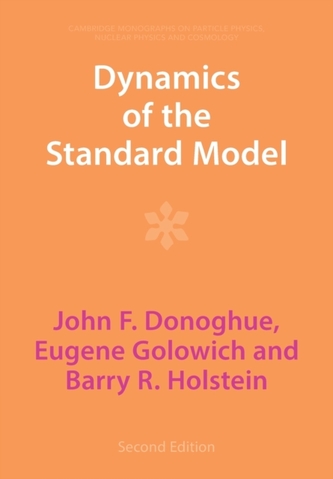 Dynamics of the Standard Model
