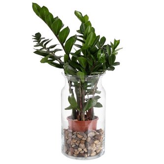 VÁZA "BOSE" 15,5X29,5CM, SKLO