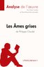 Les Âmes grises de Philippe Claudel (Analyse de l'oeuvre)