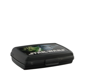 Box svačinový 0,6L 17x11x4cm