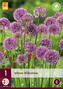 Karta - Česnek okrasný ALLIUM MILLENIUM (1 hlízy) "C"
