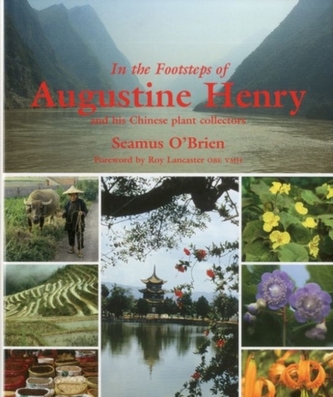 In the Footsteps of Augustine Henry