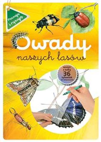Owady naszych lasów zeszyt w kalką