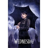 Plagát Wednesday - Downpour