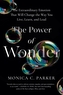 Power of Wonder
