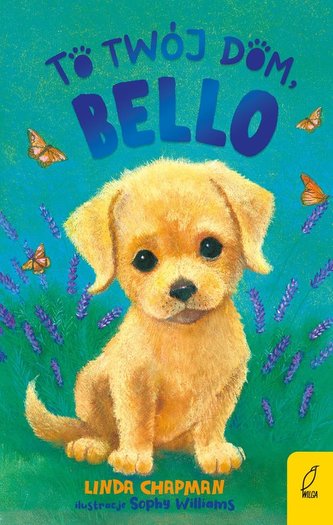 To twój dom, Bello Tom 6