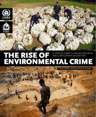The rise of environmental crime