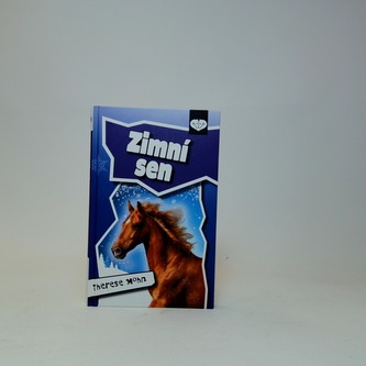 Zimní sen