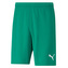 teamRISE Short, teamRISE Short | 70494205 | XL