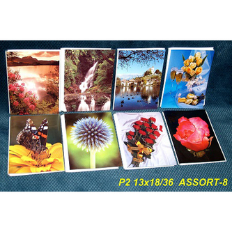 Fotoalbum 13x18 cm /36 Fotografií P2 Assort-8 /1ks