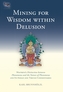 Mining For Wisdom Within Delusion