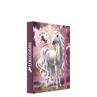 Box na zošity A5 Jumbo Believe in Unicorns