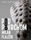 Pod povrchom - Milan Flajžík
