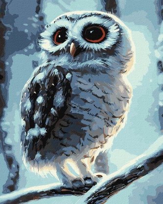 Malowanie po numerach - Dziwo-sowa 40x50cm