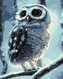 Malowanie po numerach - Dziwo-sowa 40x50cm